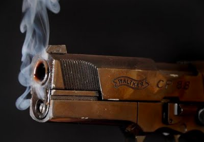 guns1