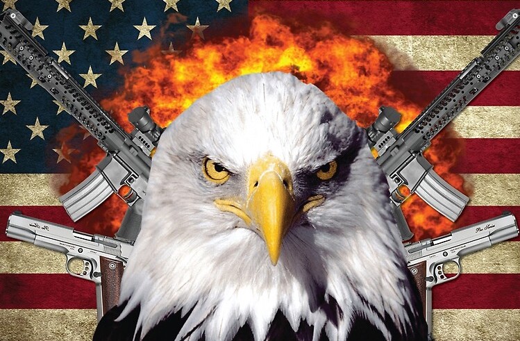 Triple Action Firearms 3